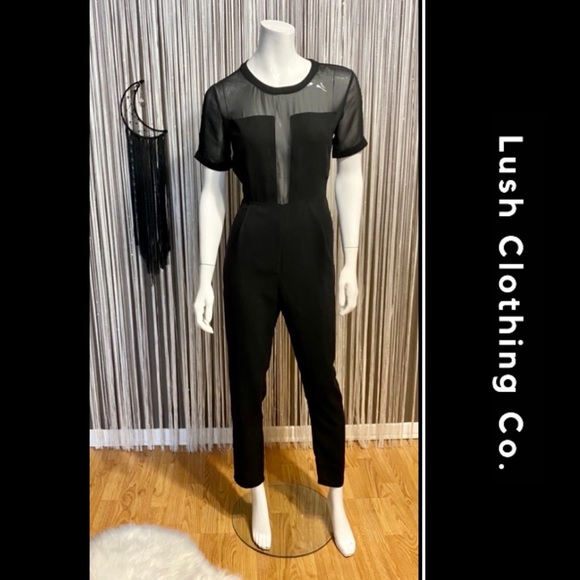 🔻SALE🔻LUSH🔹EXCELLENT CONDITION - Picture 1 of 9